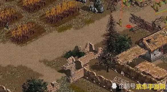 王者荣耀21级什么意思 王者荣耀21级：游戏等级与玩家成长的深度解析**