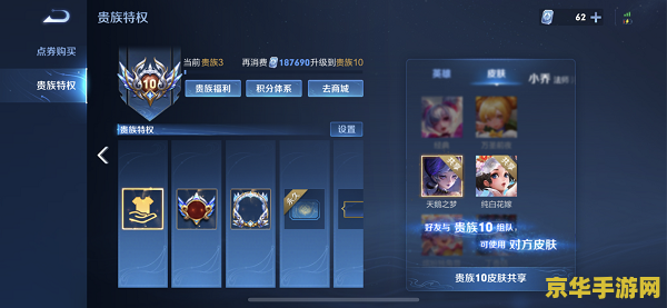 王者荣耀vip是什么意思 王者荣耀VIP：特权与优势的集合**