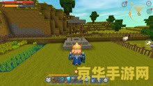 迷你世界如何驯服飞龙