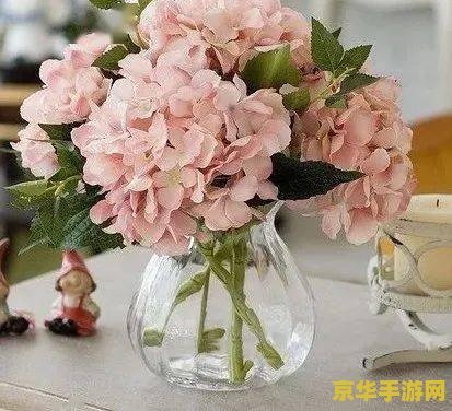 王者荣耀延如何到30ms 王者荣耀延迟到30ms的方法
