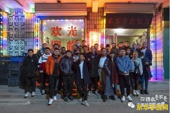 愤怒的小鸟VS僵尸2：猪猪守护者的反击