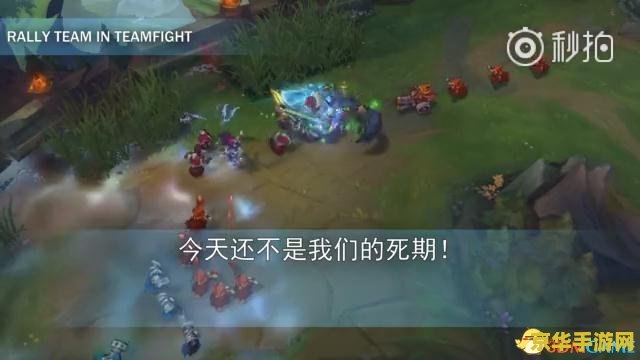 英雄联盟莲花之令刀妹 英雄联盟：莲花之令刀妹