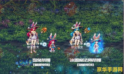 DNF2013春节宠物