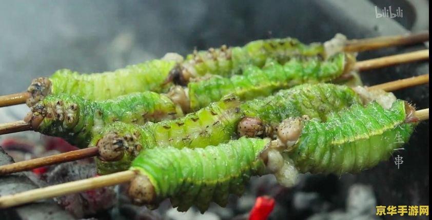 火炬之光2弓箭手加点 火炬之光2弓箭手加点：深入解析与策略探讨