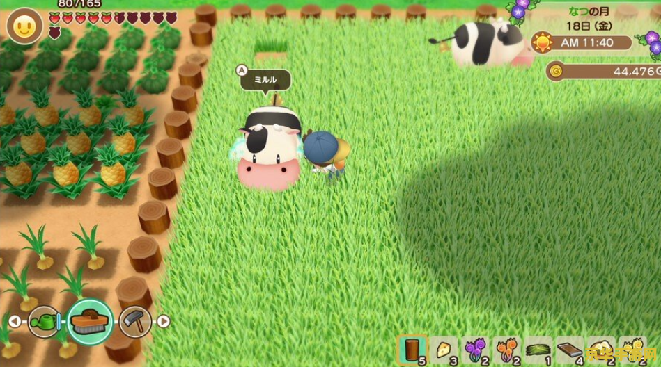 天涯明月刀天下镖 天涯明月刀天下镖