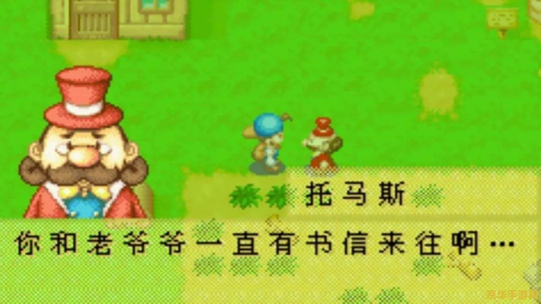 牧场物语矿石镇的伙伴们