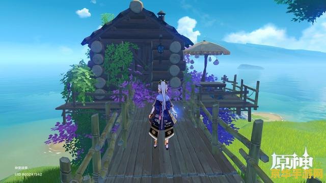 原神周年20问知乎深度解析：游戏背后的故事与未来的展望