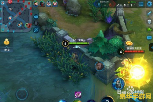 王者荣耀如何看草丛