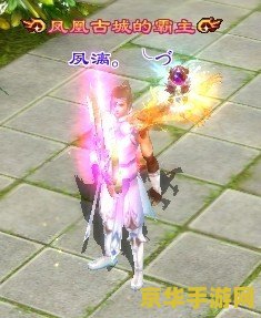 九阴真经 奇遇 九阴真经 奇遇