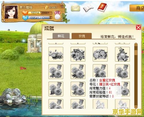 玫瑰小镇嫁接表