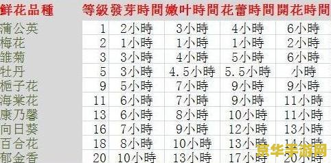 玫瑰小镇嫁接表