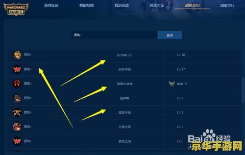 王者荣耀为什么好友里没有声音 王者荣耀好友列表无声音，原因何在？