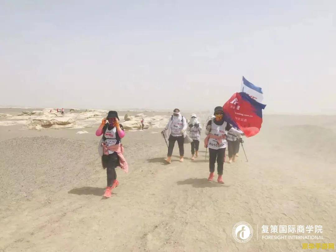 冒险岛脚本 探索冒险岛的神秘宝藏：脚本编写与游戏机制深度解析