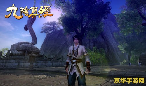 九阴真经门派战：一场武林风云的激荡