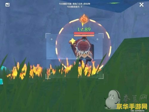 原神带有红色的生物在哪拍