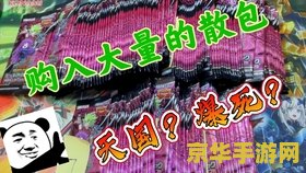 游戏王 胶囊怪兽