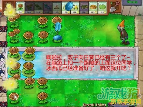 植物大战僵尸 生存模式
