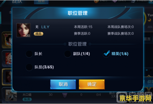 王者荣耀什么是二级英雄 王者荣耀中的二级英雄解析**