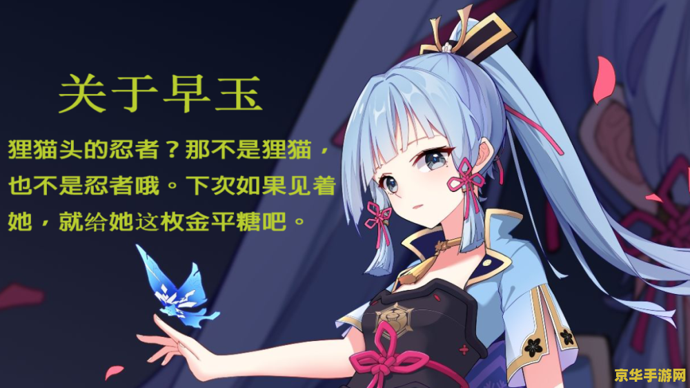 原神稻妻会跳舞的狸猫