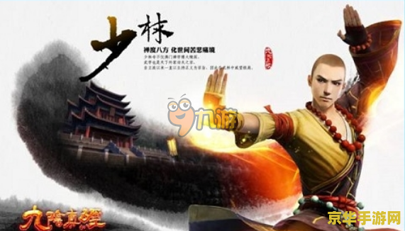 九阴真经少林2内：禅心与武学的完美融合