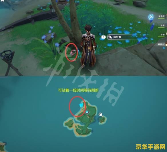 原神螃蟹在哪卖