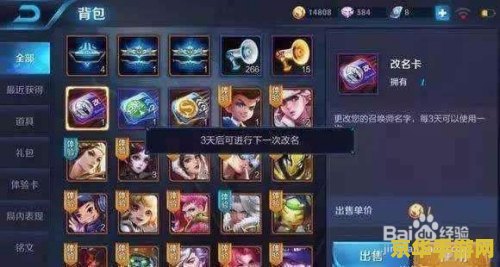 王者荣耀出装制裁是什么 王者荣耀出装制裁：解析与应对策略