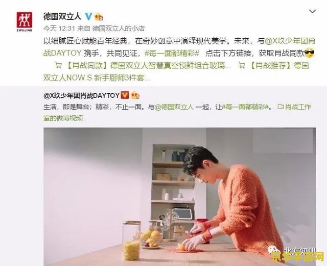 王者荣耀哪吒属于什么意思 **王者荣耀哪吒属于：破风之翼，逆风翱翔**
