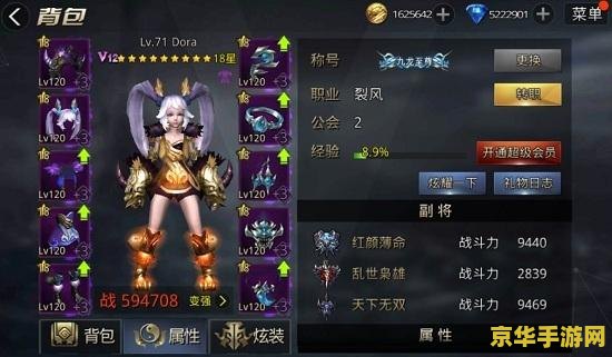 建议：龙之谷游侠加点攻略：全面解析游侠职业的技能与属性分配