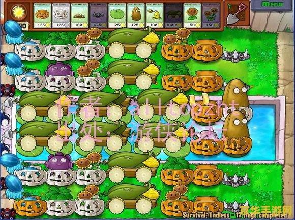 建议：植物大战僵尸ol修改器：游戏攻略与技巧分享