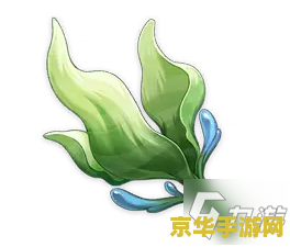 原神海灵芝只有稻妻有么 原神海灵芝是否只有稻妻有？