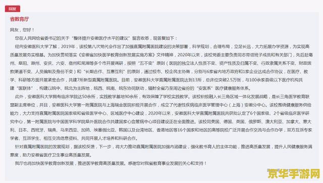 建议：冒险岛4转：全新挑战与成长之路