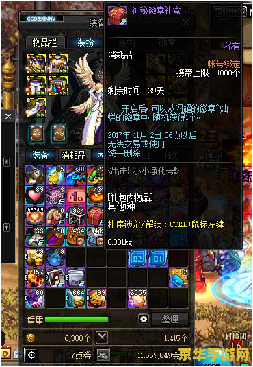 守望先锋dva本子 守望先锋：D.Va的荣耀与挑战