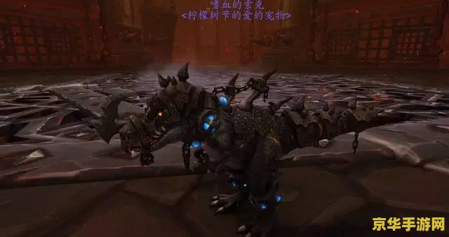 魔兽世界lr稀有宝宝 建议：魔兽世界：猎人稀有宝宝的收集与养成指南
