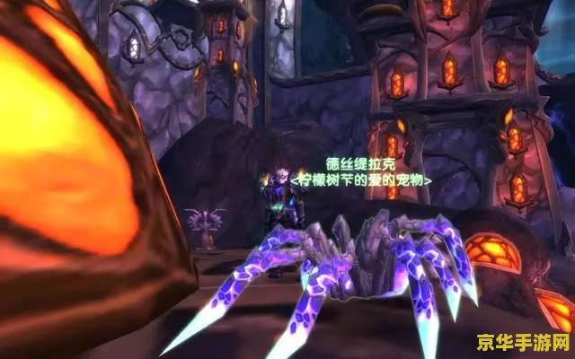 魔兽世界lr稀有宝宝 建议：魔兽世界：猎人稀有宝宝的收集与养成指南