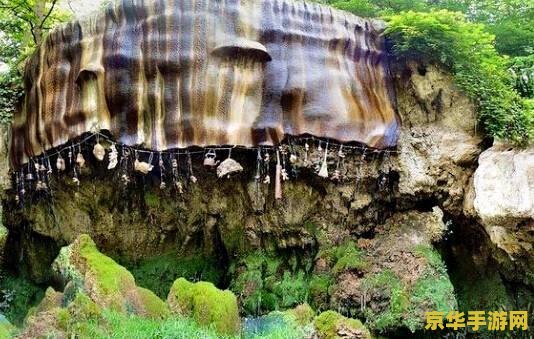 原神椿调查石壁上的灌木 建议：原神：探索石壁上的秘密——椿与灌木的调查