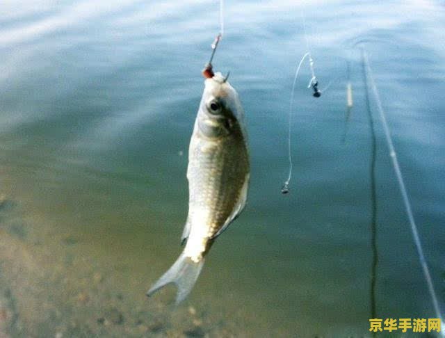 原神钓鱼点刷不出想要的鱼，原因及解决方法