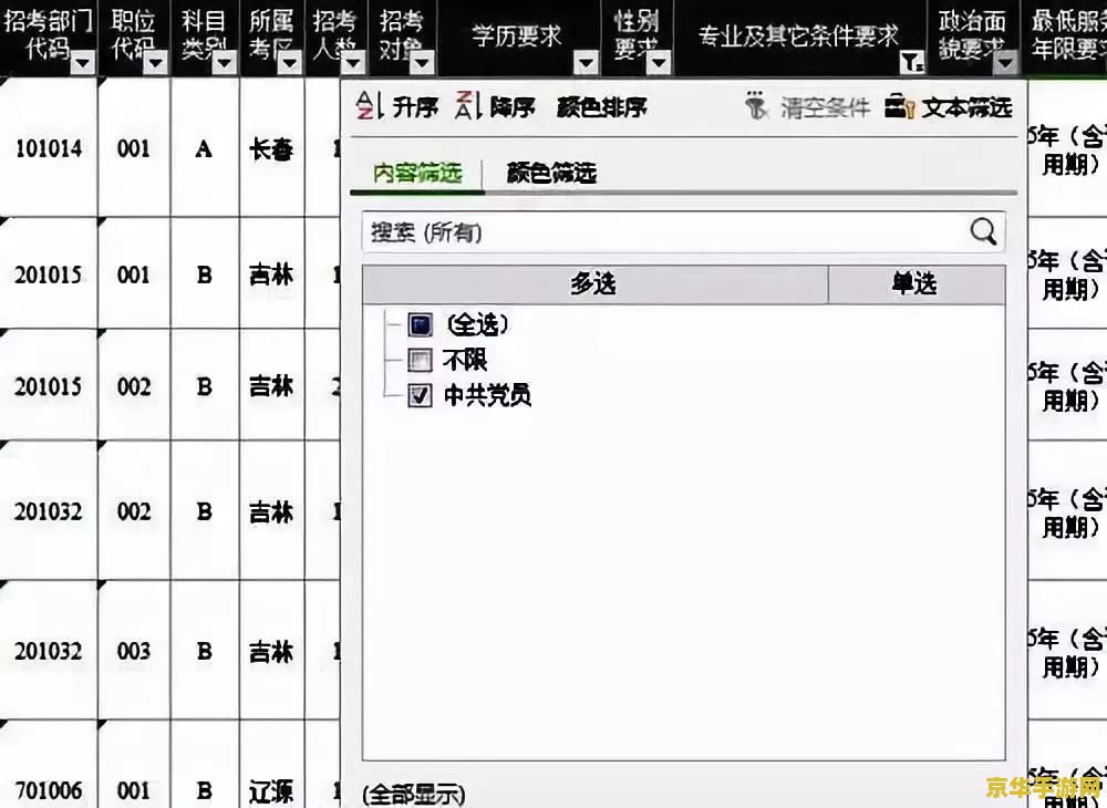 王者荣耀ap刺客是什么 王者荣耀AP刺客：法术伤害的刺杀艺术**