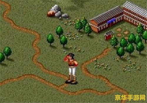 建议：金庸群侠传x黄蓉：江湖中的智勇女神