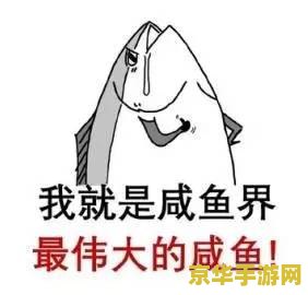 q宠大乐斗许愿卡 q宠大乐斗许愿卡：神秘的愿望之力