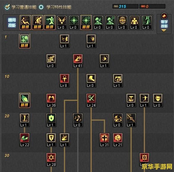 建议：DNF圣骑士加点指南：分析加点策略与相关词