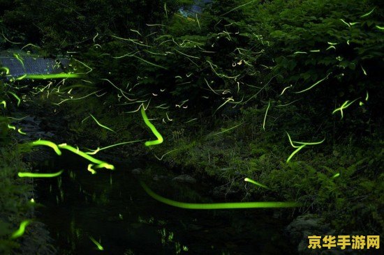 原神雷樱枝条是什么 建议：原神中的雷樱枝条：探索与解析