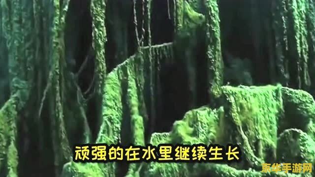 原神沉睡的根系入口 建议：原神：探索沉睡的根系入口，揭开神秘世界的面纱