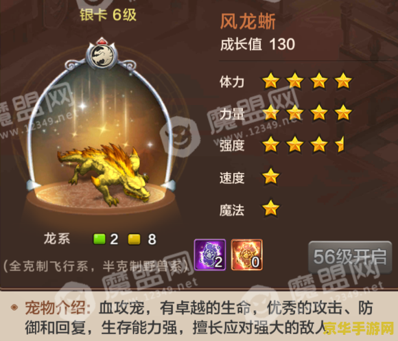 魔力宝贝狗洞 建议：魔力宝贝：探索神秘狗洞的冒险之旅