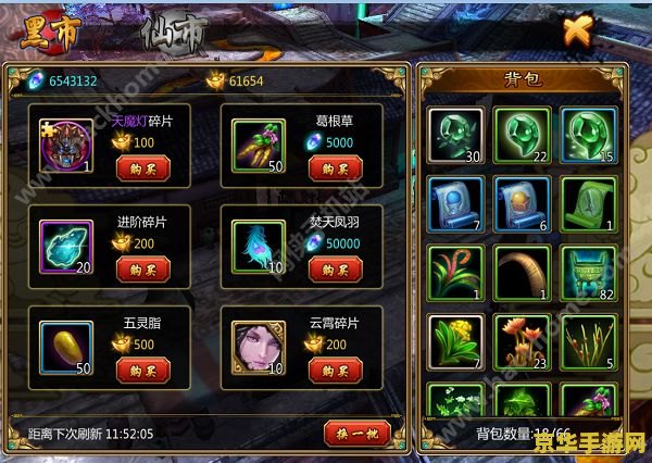 魔域2.5：暗夜之影