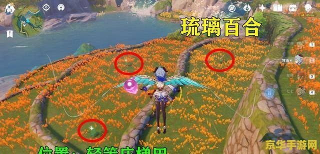 原神琉璃袋在哪里 建议：原神琉璃袋获取指南