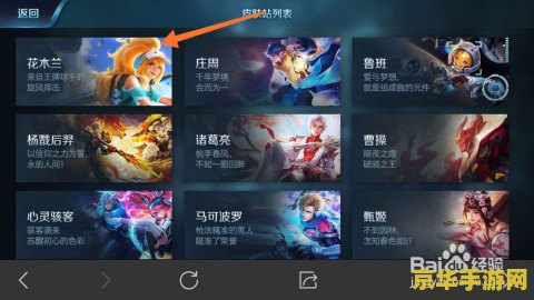 如何查询王者荣耀皮肤拥有情况 建议：王者荣耀皮肤拥有情况查询指南