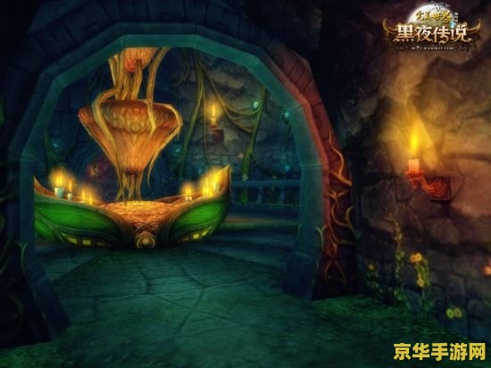 "完美世界黑夜传说" - 游戏名，根据其名字可以推测这可能是一款以黑夜传说为背景的游戏。