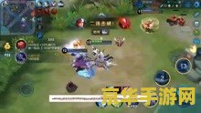 王者荣耀五黑的意思是什么 王者荣耀五黑的意思是什么**