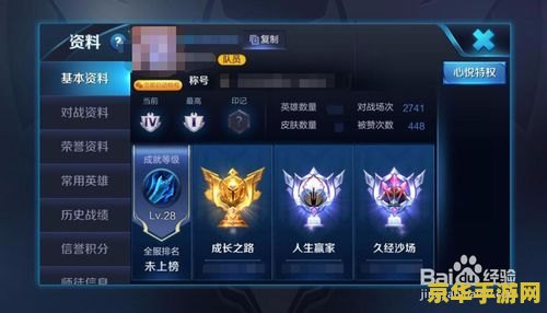 王者荣耀的好友如何加微信好友聊天 建议：王者荣耀：如何添加微信好友并畅聊游戏心得
