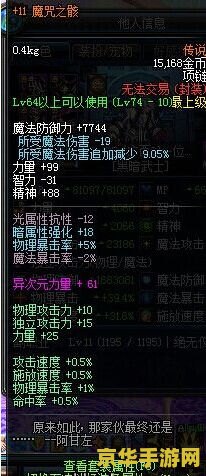 建议：DNF黑暗骑士装备选择与策略分析